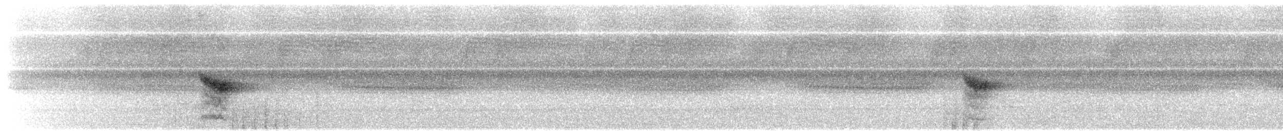Вилохвістка плямиста - ML611866333