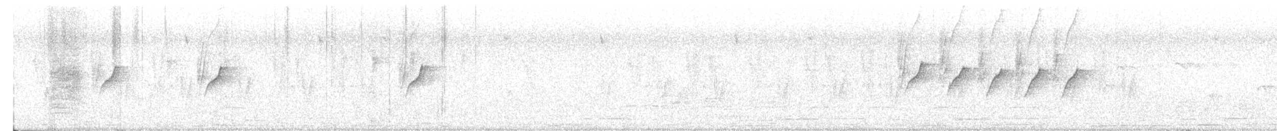 Атласная нектарница - ML611868055