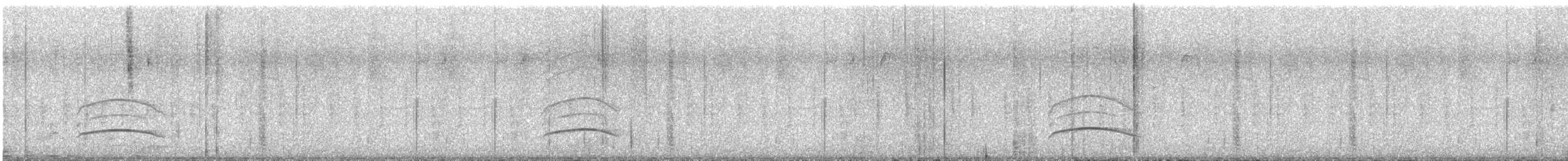 mørkhettetyrann (lawrenceii gr.) - ML611870421