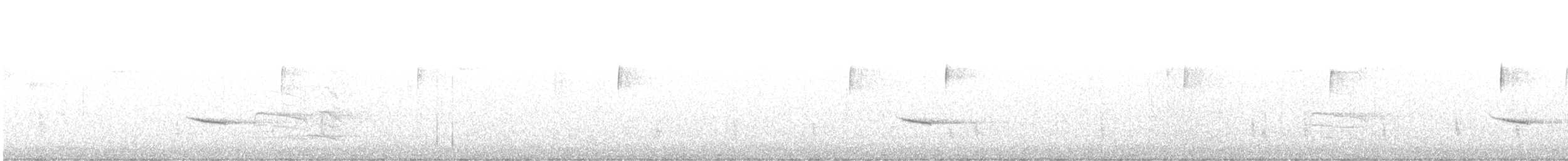Münzevi Bülbül Ardıcı - ML611873767