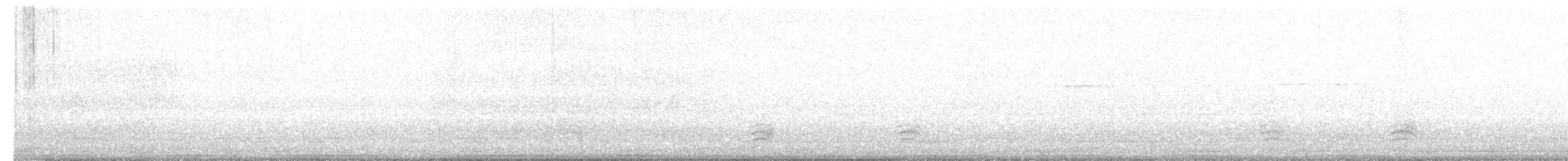 Weißbrustkleiber - ML611876718