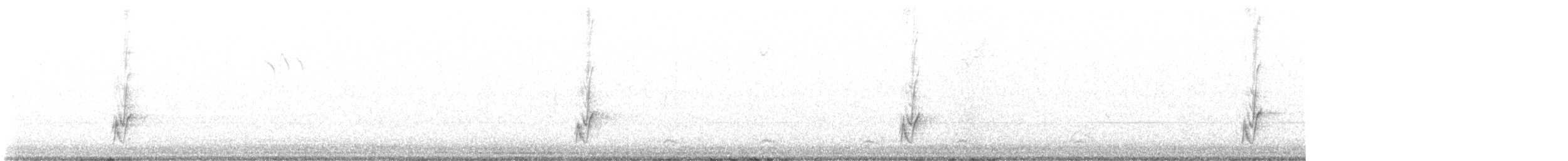Kalifornienspottdrossel - ML611881306