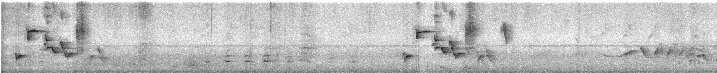 Orange-billed Nightingale-Thrush - ML611881924