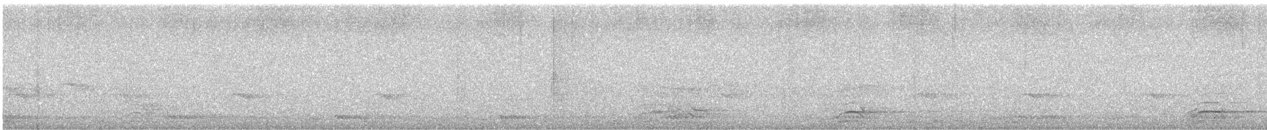 Malabar Gray Hornbill - ML611882738