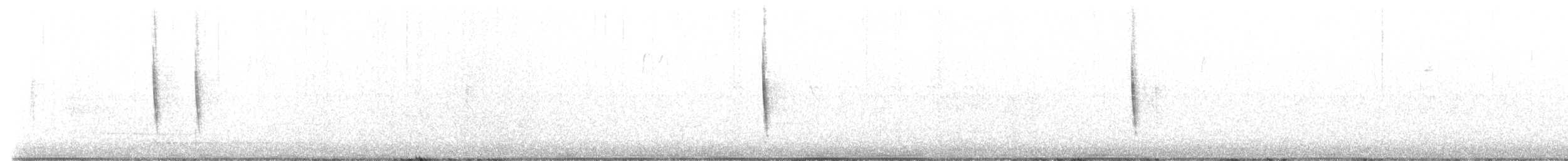 Northern House Wren (Northern) - ML611883991