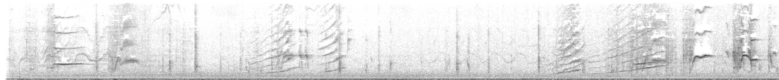 Büyük Kuyruklu Kiskal [mexicanus grubu] - ML611884004