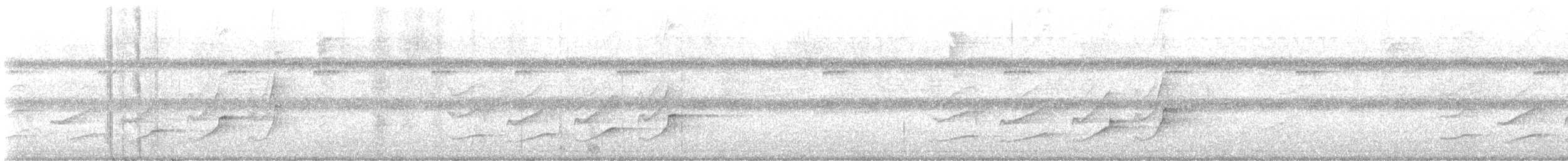 Серогрудый тенелюб - ML611885620