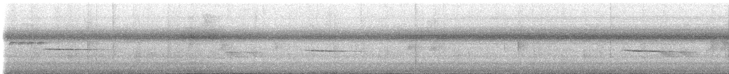 plystresmett (taeniatus/occidentalis) - ML611887101