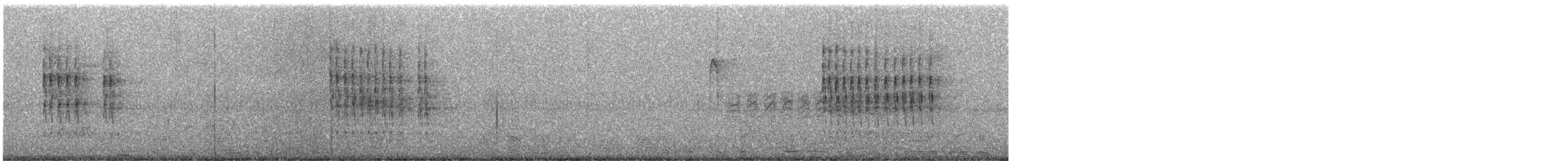 フユミソサザイ - ML611889029