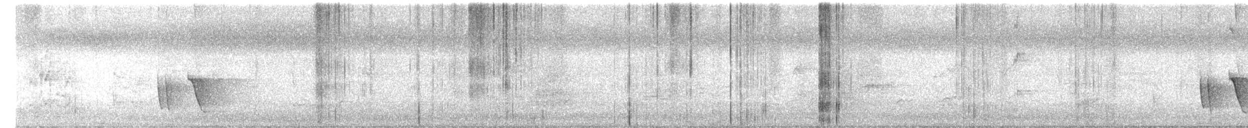 White-browed Robin - ML611890810