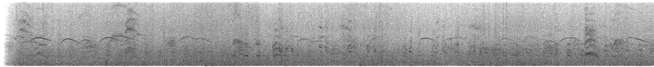 紐澳紅嘴鷗(scopulinus) - ML611891655