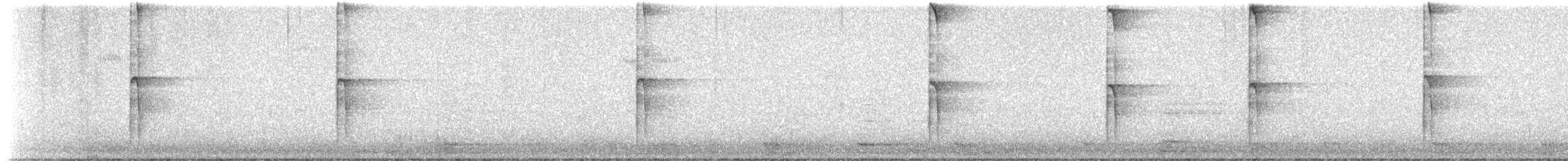 indianerspett (villosus gr.) - ML611893893