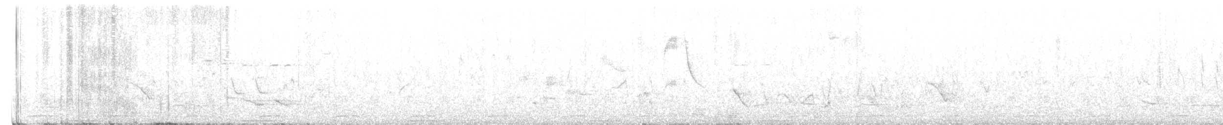 holub pestrokřídlý - ML611898246