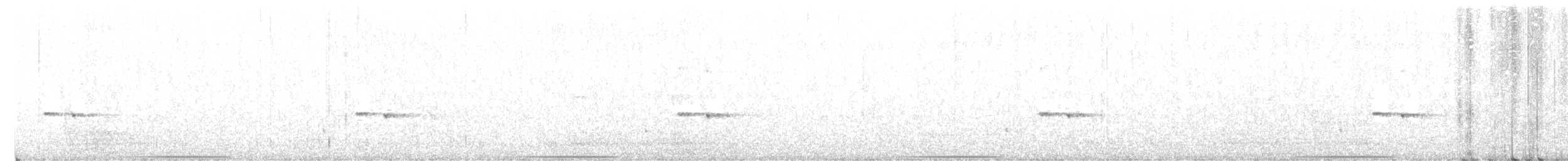holub bronzovokřídlý - ML611898256
