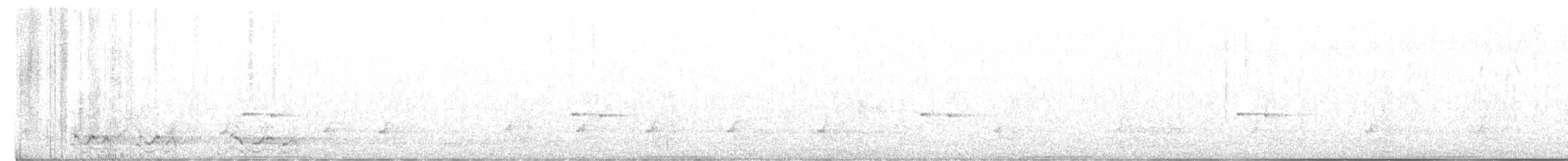 holub bronzovokřídlý - ML611898257