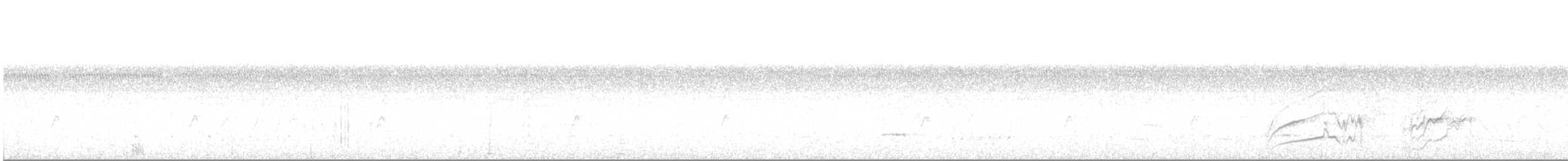 Northern White-fringed Antwren - ML611901223