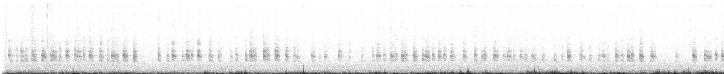 chřástal kalifornský (ssp. levipes) - ML611901776