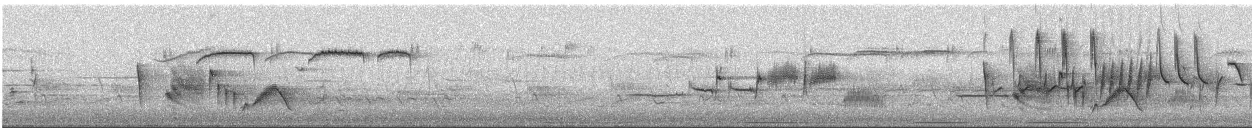 Ak Gözlü Vireo - ML611907048