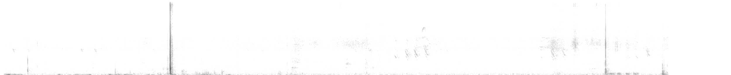 Шишкар ялиновий - ML611907674