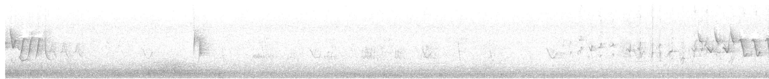 Least Flycatcher - ML61190851