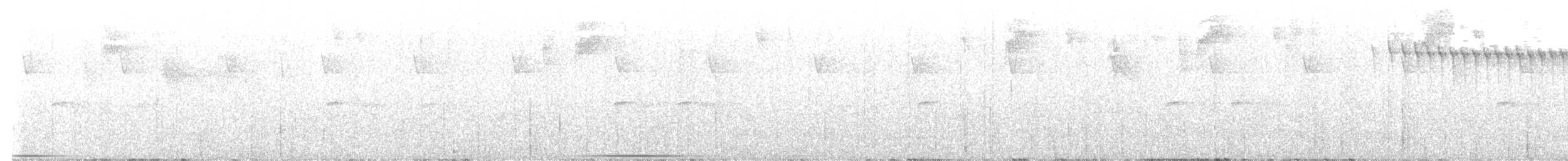 holub bělohrdlý - ML611909007