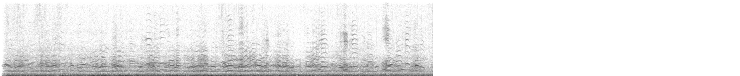 Zwergkanadagans - ML611911852