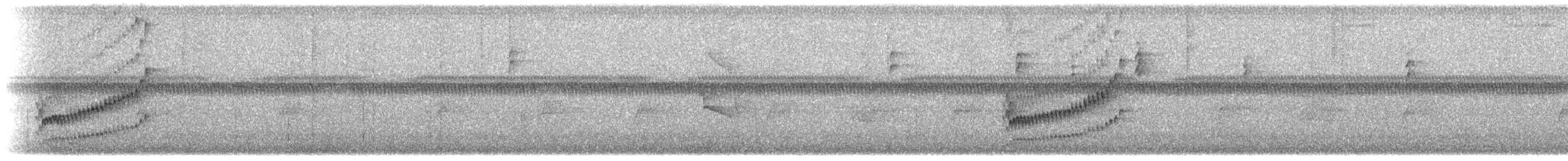 Fleckenbrust-Zaunkönig - ML611911878