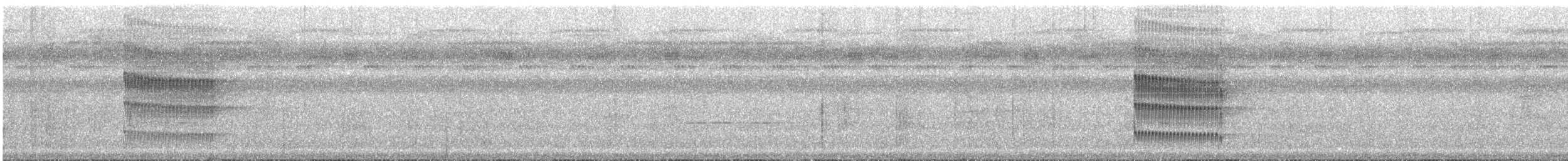 Çift Şeritli Taçlı Tiran - ML611916652