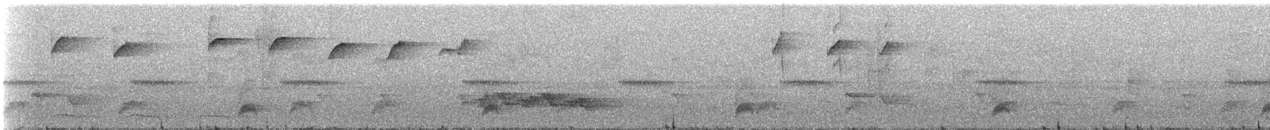 Golden-spangled Piculet (Bahia) - ML611919881