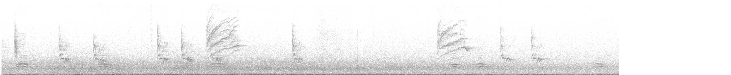 Kanada Kargası (capitalis/bicolor) - ML611924768
