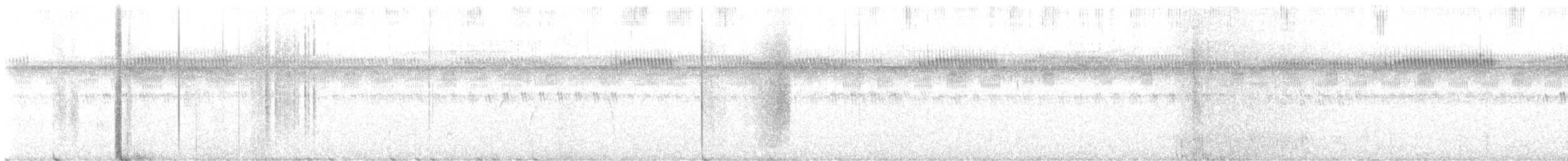 Spotted Nightjar - ML611927503