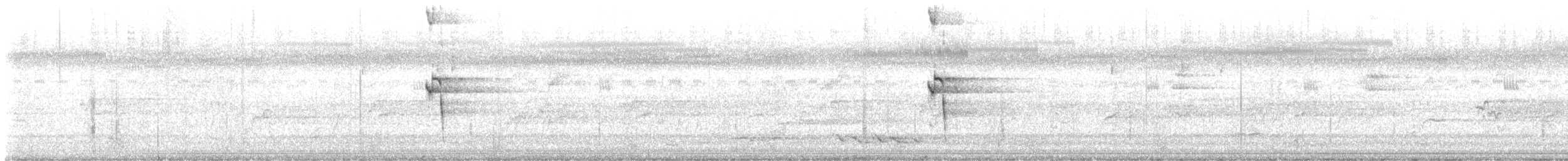 Buff-banded Rail - ML611927578