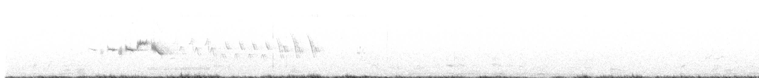 Paruline grise - ML611927773