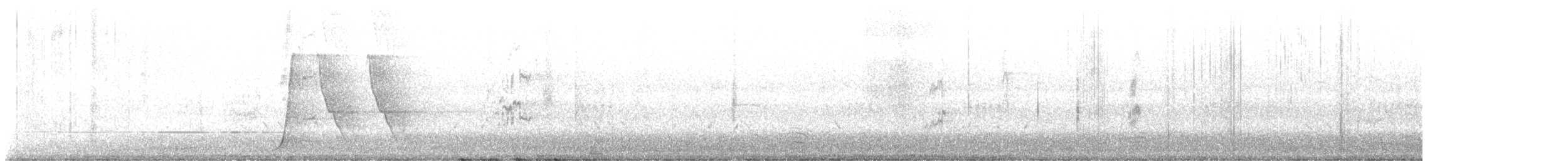 Eastern Whipbird - ML611928236