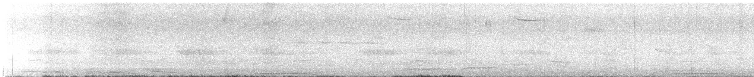 holub šedobřichý - ML611935031