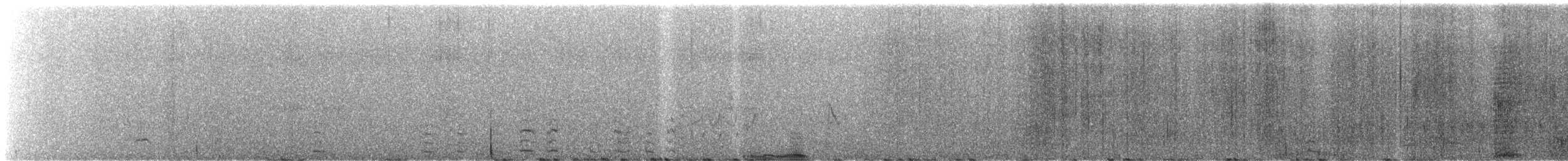 Cygne siffleur - ML611935993