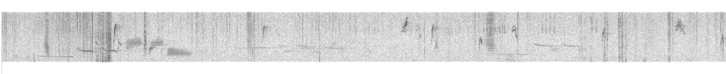 Bruant à couronne blanche (leucophrys/oriantha) - ML611936046
