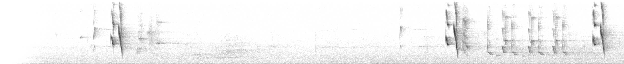 Kara Yakalı Balkuşu - ML611939356