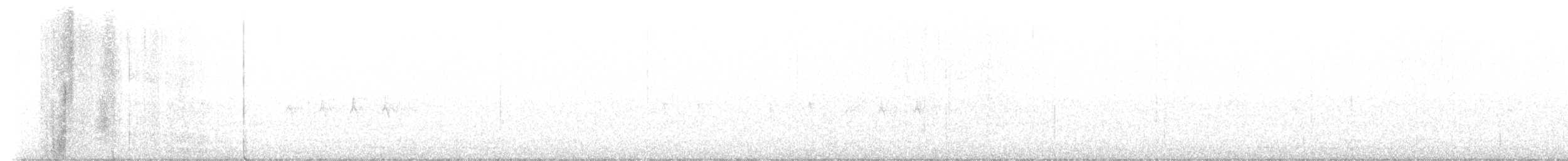 "Шишкар ялиновий (Northeastern, або тип 12)" - ML611939655