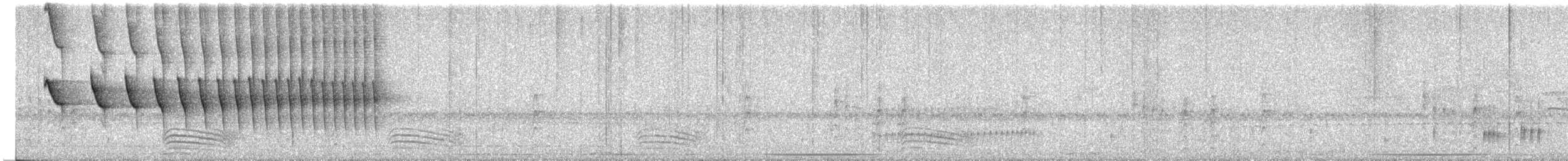 Dusky-tailed Antbird - ML611941311