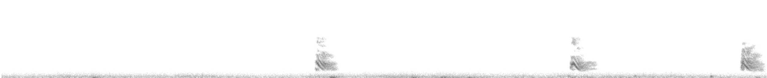 Alpenkrähe - ML611941928