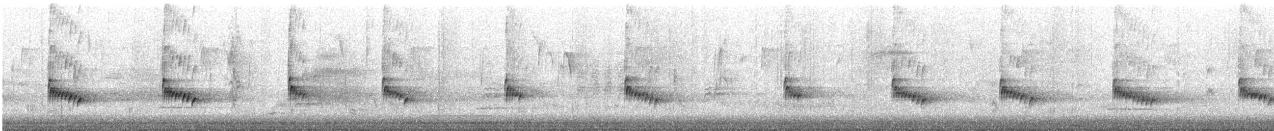 Troglodyte de Caroline - ML611942180