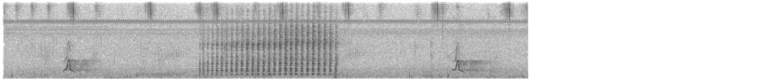 Streak-backed Oriole - ML611943138