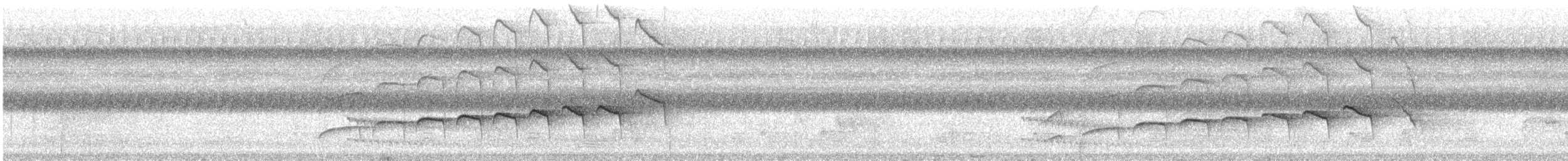 Olivaceous Woodcreeper - ML611943511