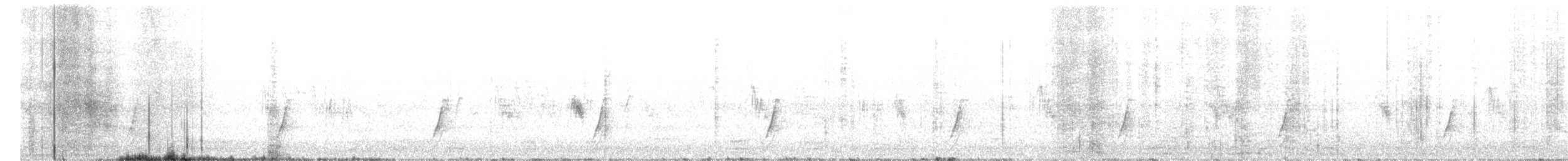斑胸秧雞 - ML611943702