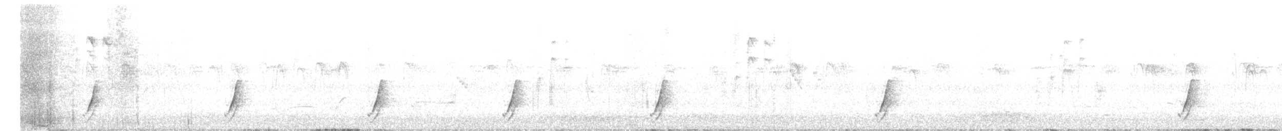 斑胸秧雞 - ML611943703