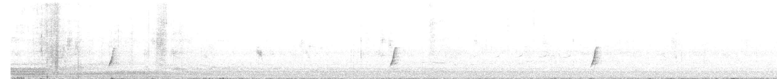 斑胸秧雞 - ML611943705