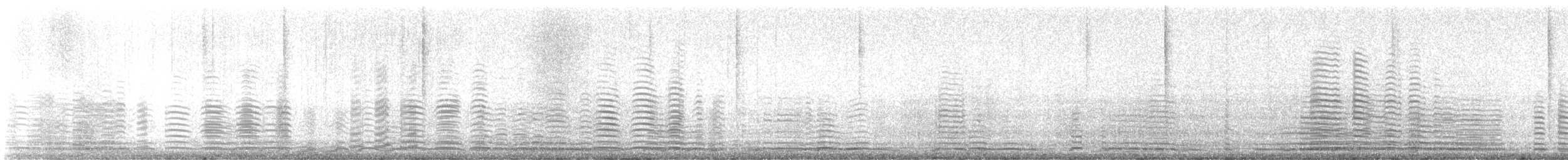 Trompeterschwan - ML611957101