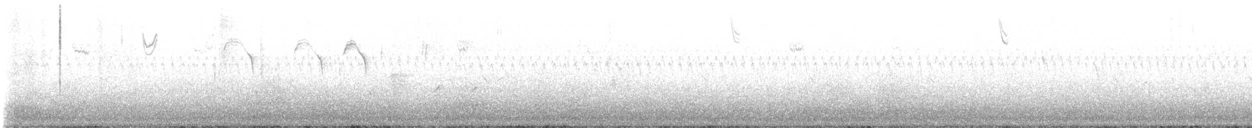 Savannah Serçesi [sandwichensis grubu] - ML611957119