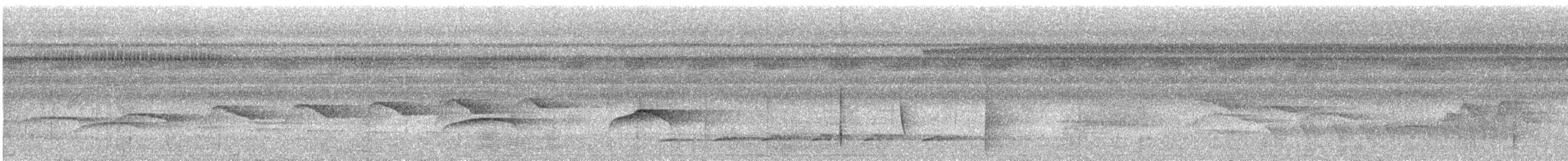 Пестрокрылый мухоед (obscuriceps) - ML611958759
